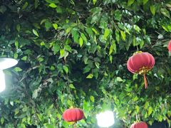 -东直门小院烧烤(回龙观东大街店)