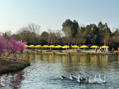 -木兰水镇旅游景区