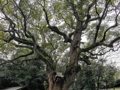 -热田神宫