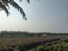 -嘉北郊野公园
