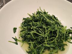 -同庆楼(滨湖万达广场店)