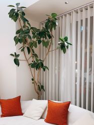 -WENDY·温迪皮肤管理