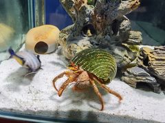 -太平洋海底世界