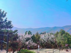 -香山公园
