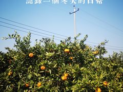 -凤凰沟景区