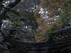 -秋霞圃