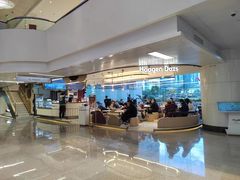 -哈根达斯(天河城店)