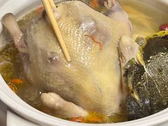 -金龙·打边炉(南京西路店)