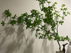 -Eu2+ coffee(上大路店)
