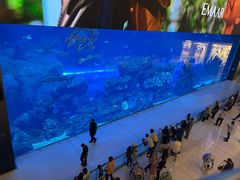 -迪拜水族馆及水下动物园