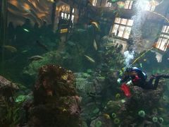 -西雅图水族馆