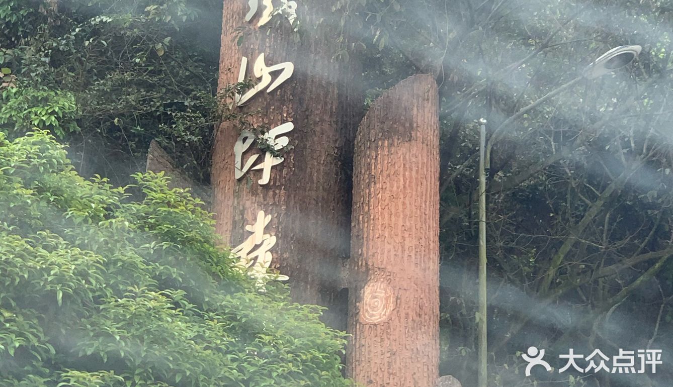 带上家人一起露营赏花也是不错的体验。