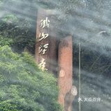 带上家人一起露营赏花也是不错的体验。
