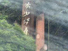 -铁山坪森林公园