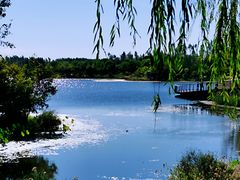 -东郊湿地公园