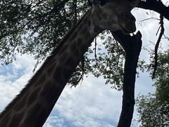 -沈阳森林动物园