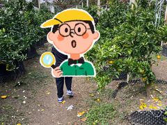 -前小桔亲子创意农场·草莓采摘·露营烧烤