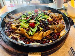 -老板恋上鱼(恒隆广场店)