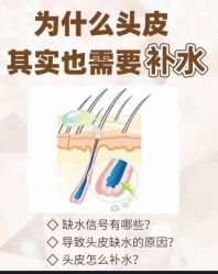 -Bollins波林丝•专研护发中心