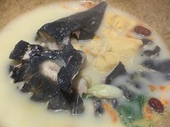 -滇小鱼·云南野生菌火锅(上杭路店)