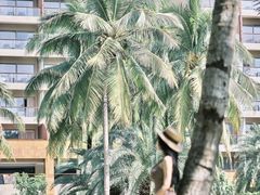 -三亚湾海居铂尔曼度假酒店