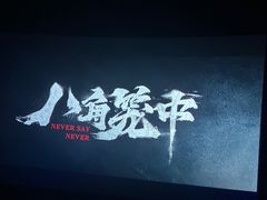-CGV影城(壹方城IMAX店)