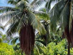 -三亚南山文化旅游区