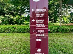 -宝安西湾红树林湿地公园