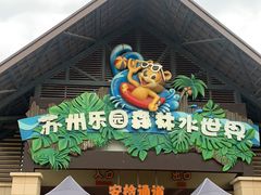 -苏州乐园森林水世界