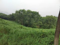 -滨河世纪广场公园