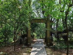 -上海佘山国家森林公园天马山园