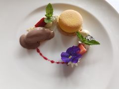 -蝶舍·MAISON PAPILLON