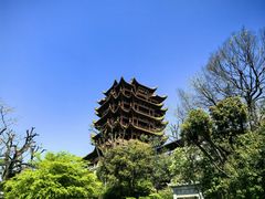 -黄鹤楼公园(黄鹤楼)