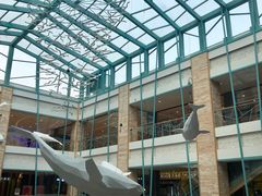 -大族广场Mall&More