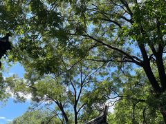 -云峰山自然风景区