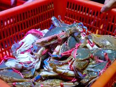 -巽寮印象美食部落餐厅·海鲜·地方特色菜(惠州体验店)