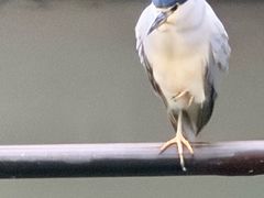 -汇龙潭