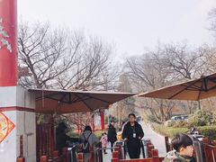 -皇藏峪国家森林公园