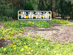-大京沙滩