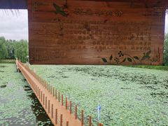 -白渔泡湿地公园