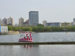 -莲花池公园