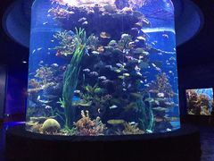 -多彩贵州城极地海洋世界