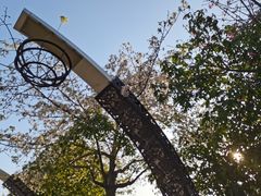 -映月湖公园