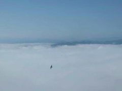 -蝶舞清江·恩施云顶景区(黄鹤峰林)