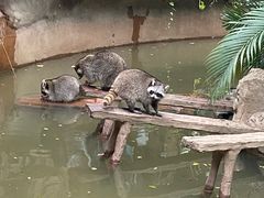 -长鹿旅游休博园