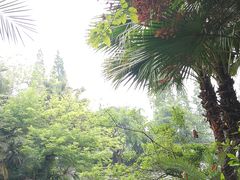-龙潭水乡