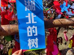 -安徽天堂寨风景区
