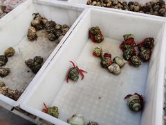 -华声天桥民俗文化园