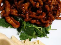 -大鸭梨烤鸭(左家庄店)