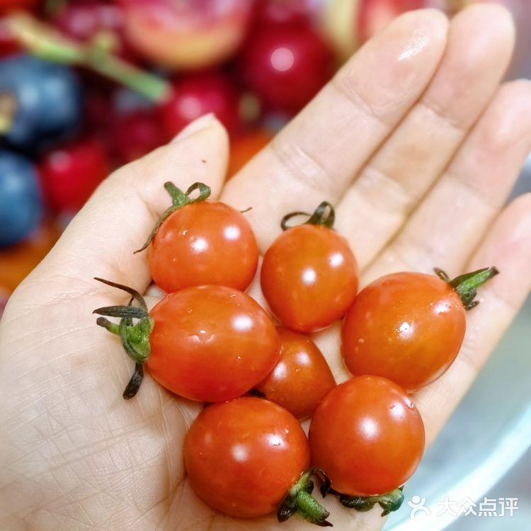 #随手拍#迷你水果局～mini fruits